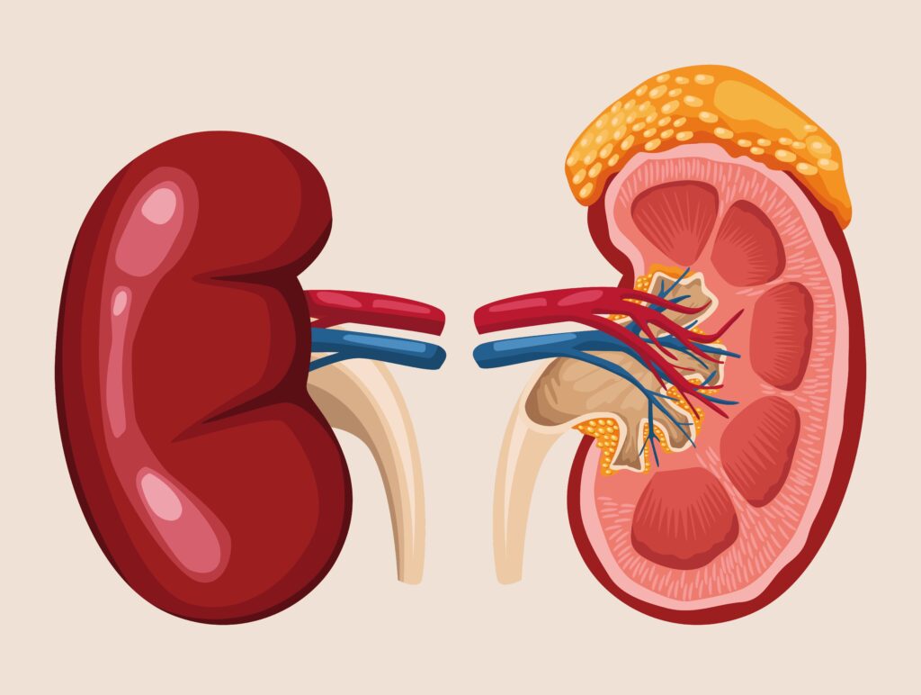 Symptoms of Kidney Failure