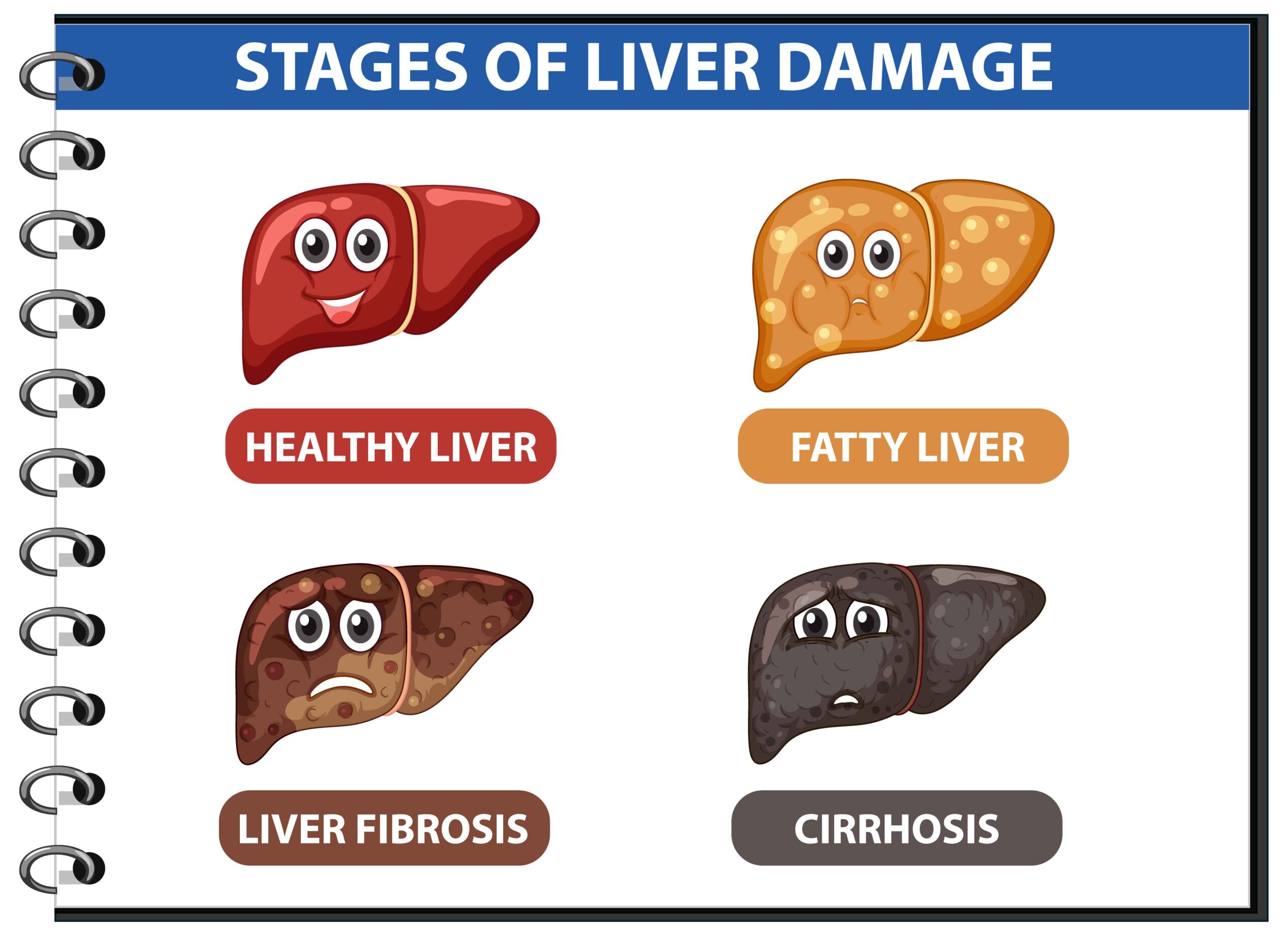 Liver Damage Symptoms